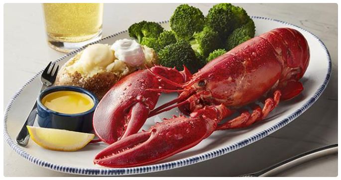 Live Maine Lobster (1.25 lb.)